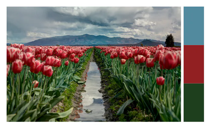 Color palette from landscapes