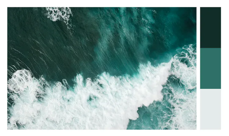 Color palette from nature