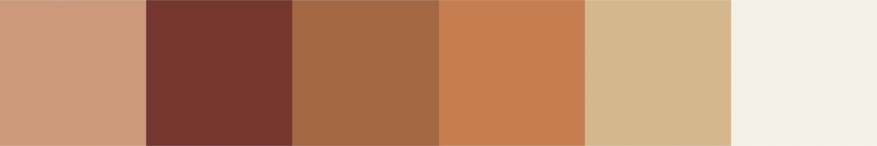 Japandi earth tone color palette