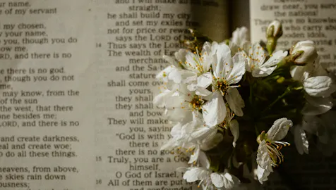 Free Good Friday photo of a bible script - Kittl