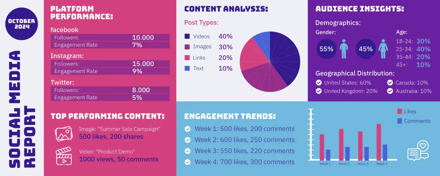 Social Media Report Infographic Type Colorful Audience, Content, Engagment Performance Report