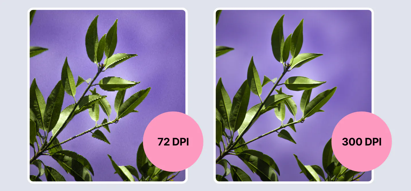 Image of 72 DPI vs 300 DPI