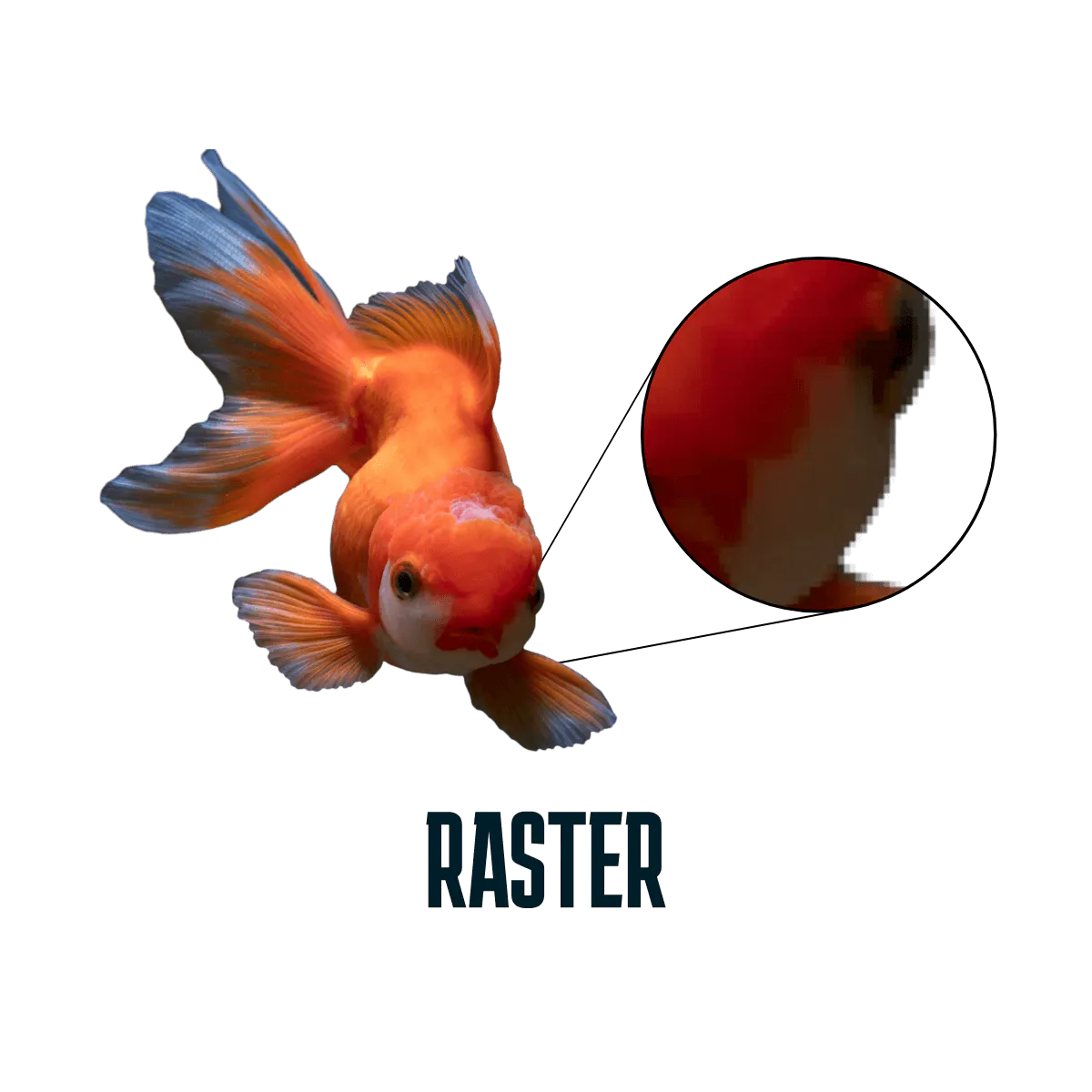 What is a vector file blog: Raster image example