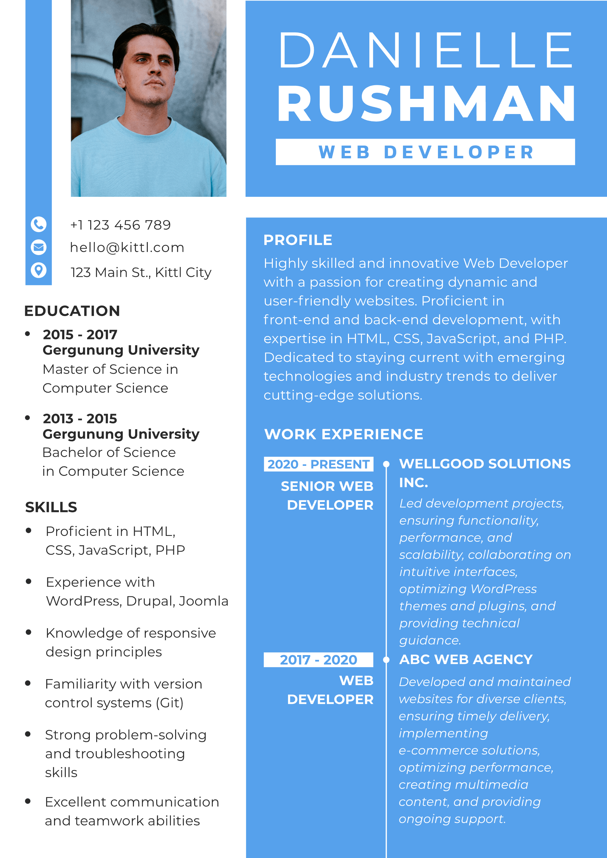 web developer resume example