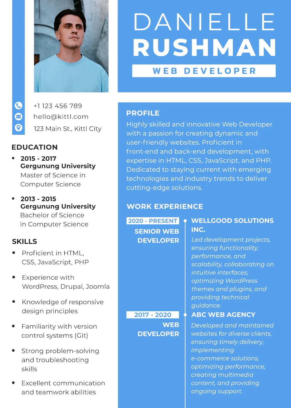 web developer resume example
