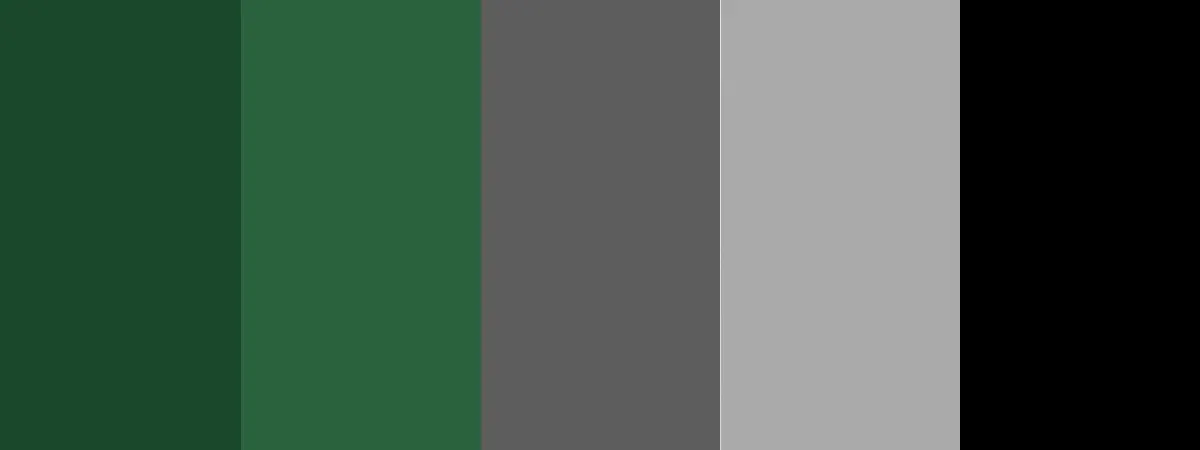 Slytherin color palette consists of Deep Forest Green (#1A472A), Emerald Moss (#2A623D), Graphite Gray (#5D5D5D), Soft Silver (#AAAAAA), True Black (#000000) - Kittl
