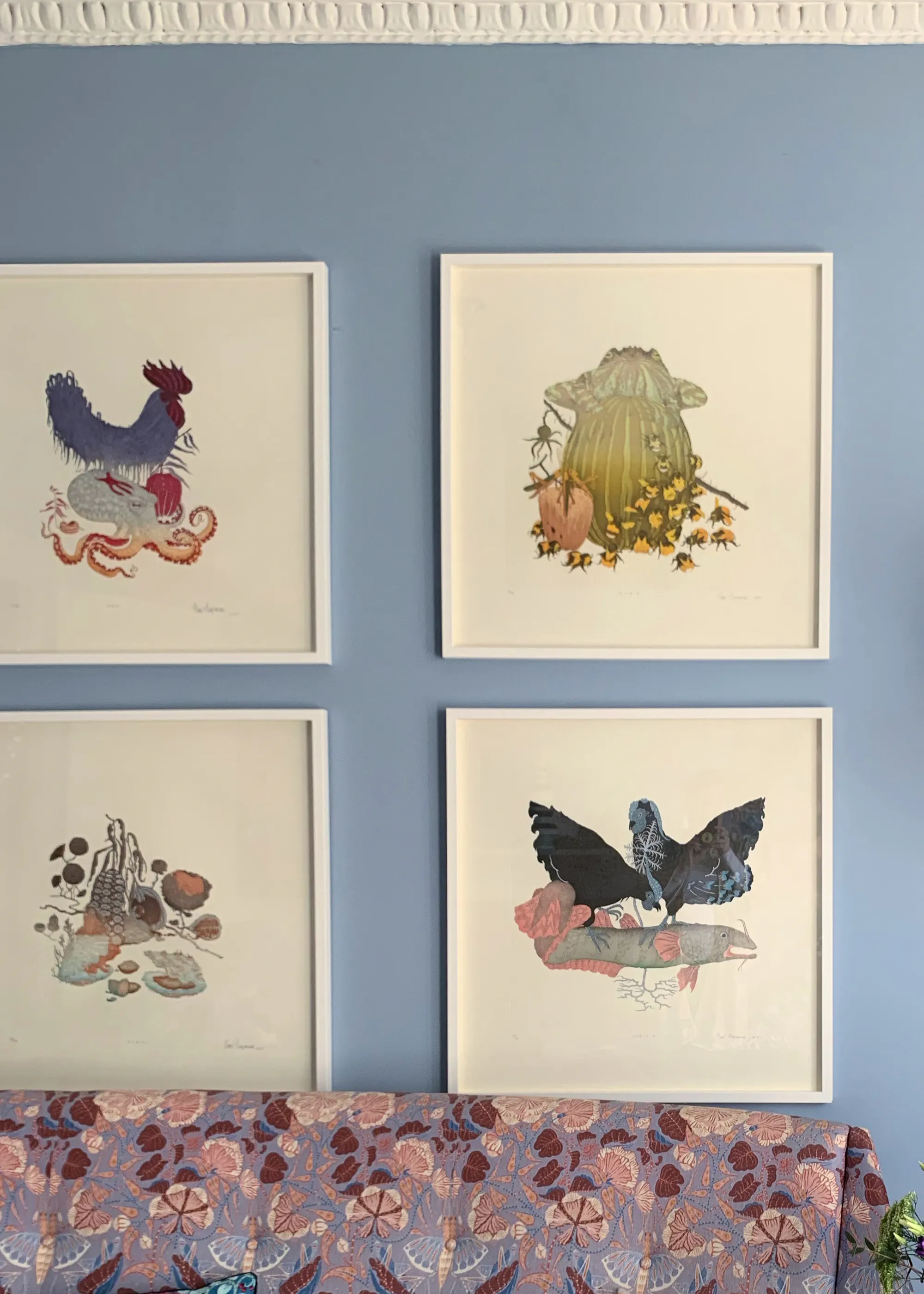 Gallery wall of four framed Klaus Haapaniemi art prints of birds and creatures on a blue wall above a patterned sofa