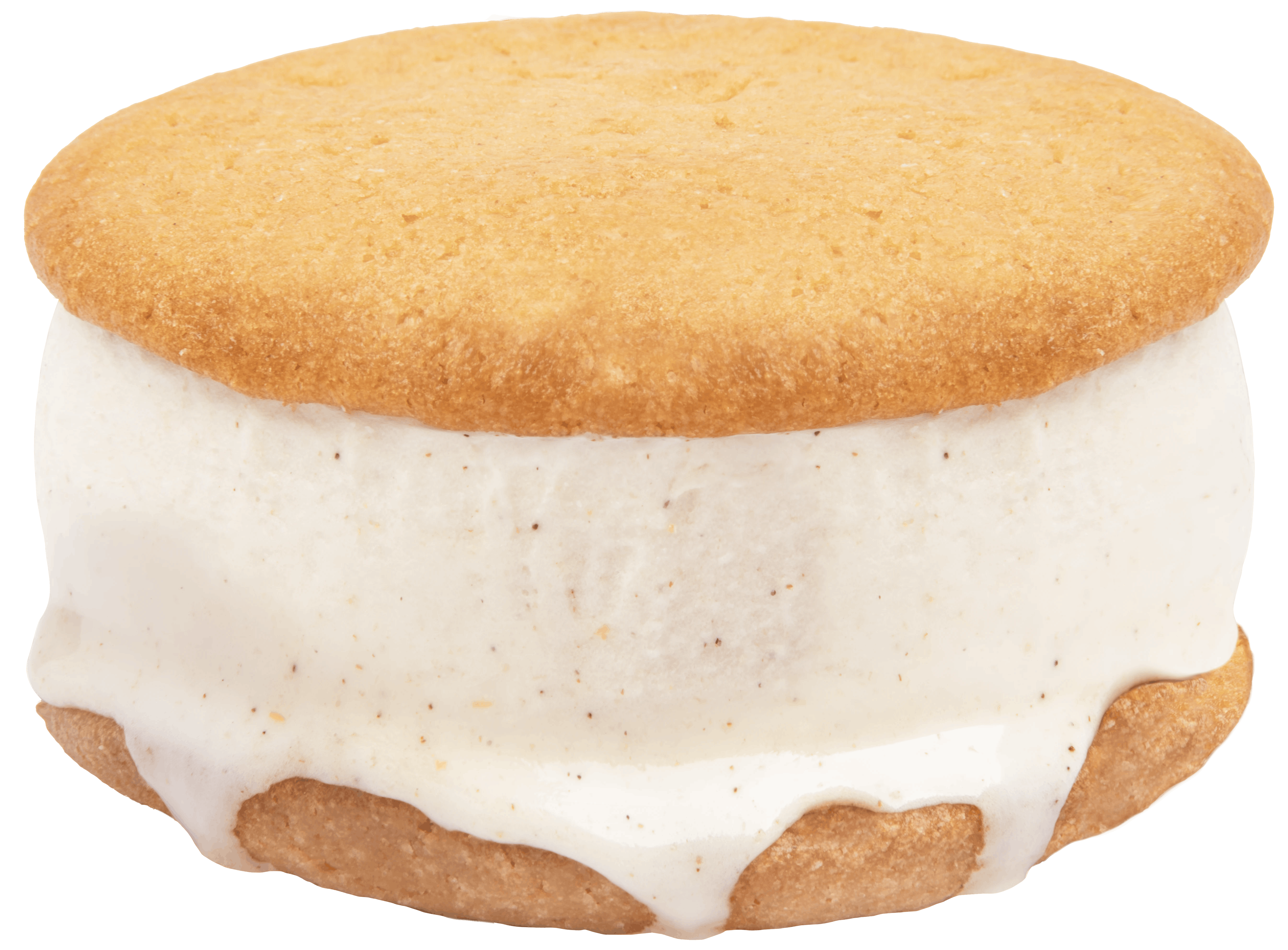 Cookie Sandwich