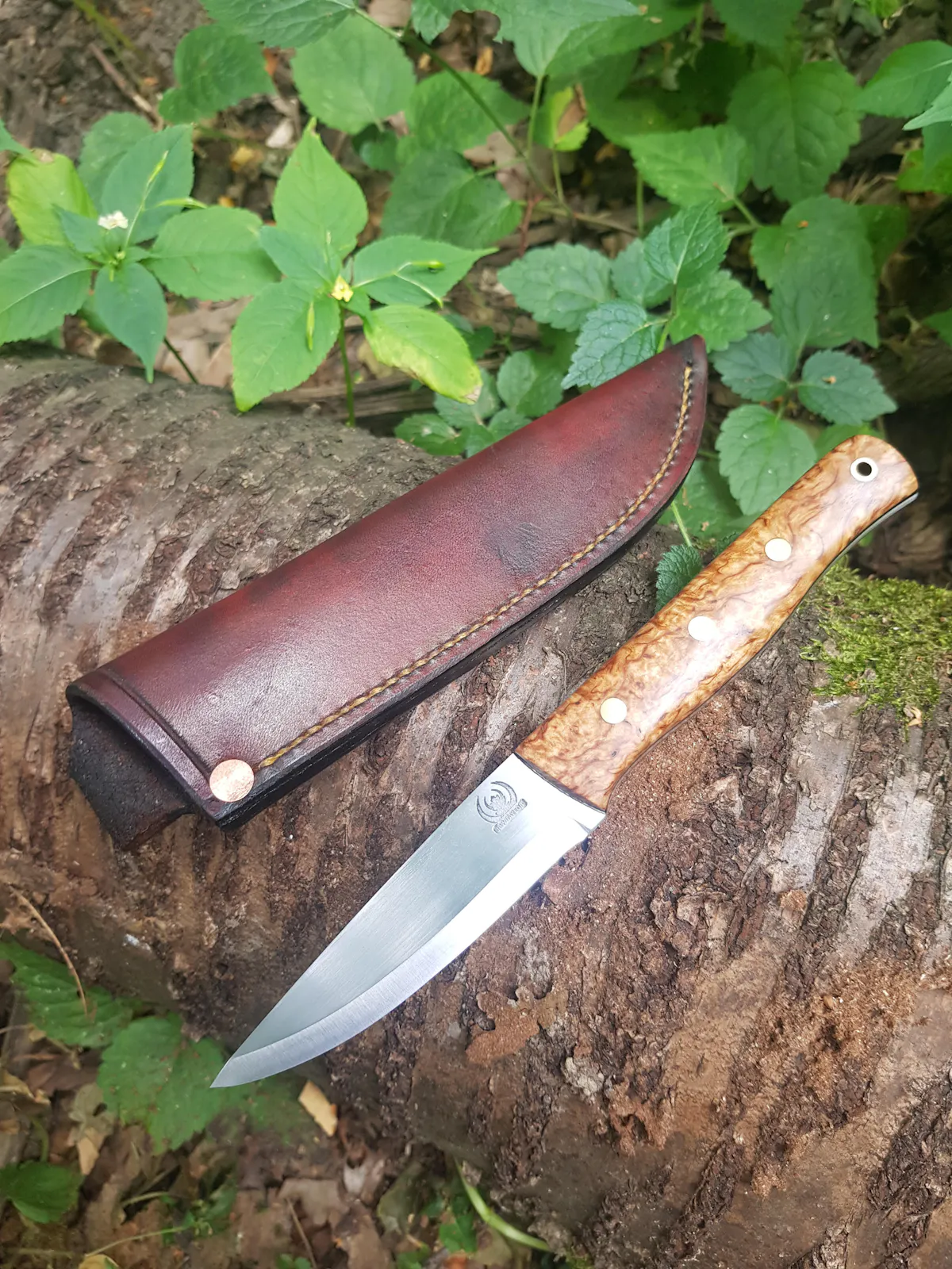 Robert Taylor - Outdoor 2