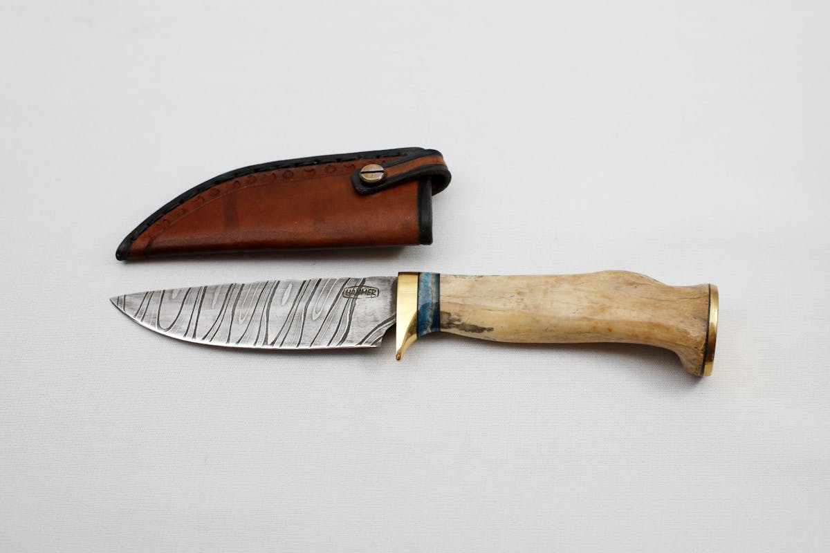 Alois Hammer - Höhlenbär