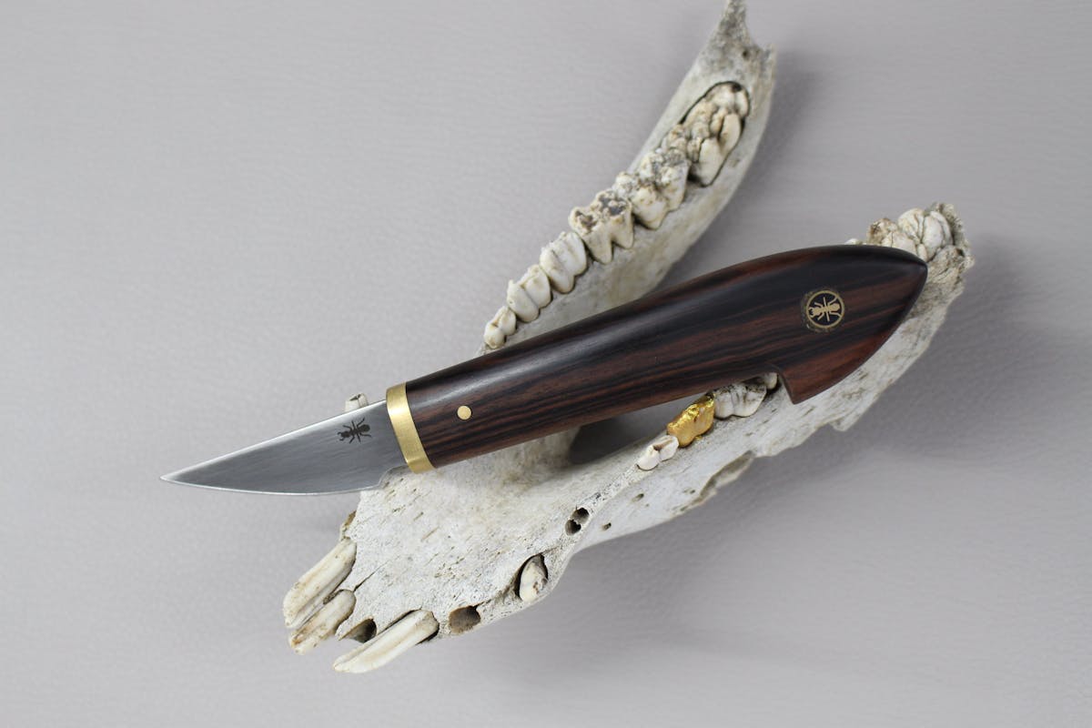 Pola Malandain - Sauber