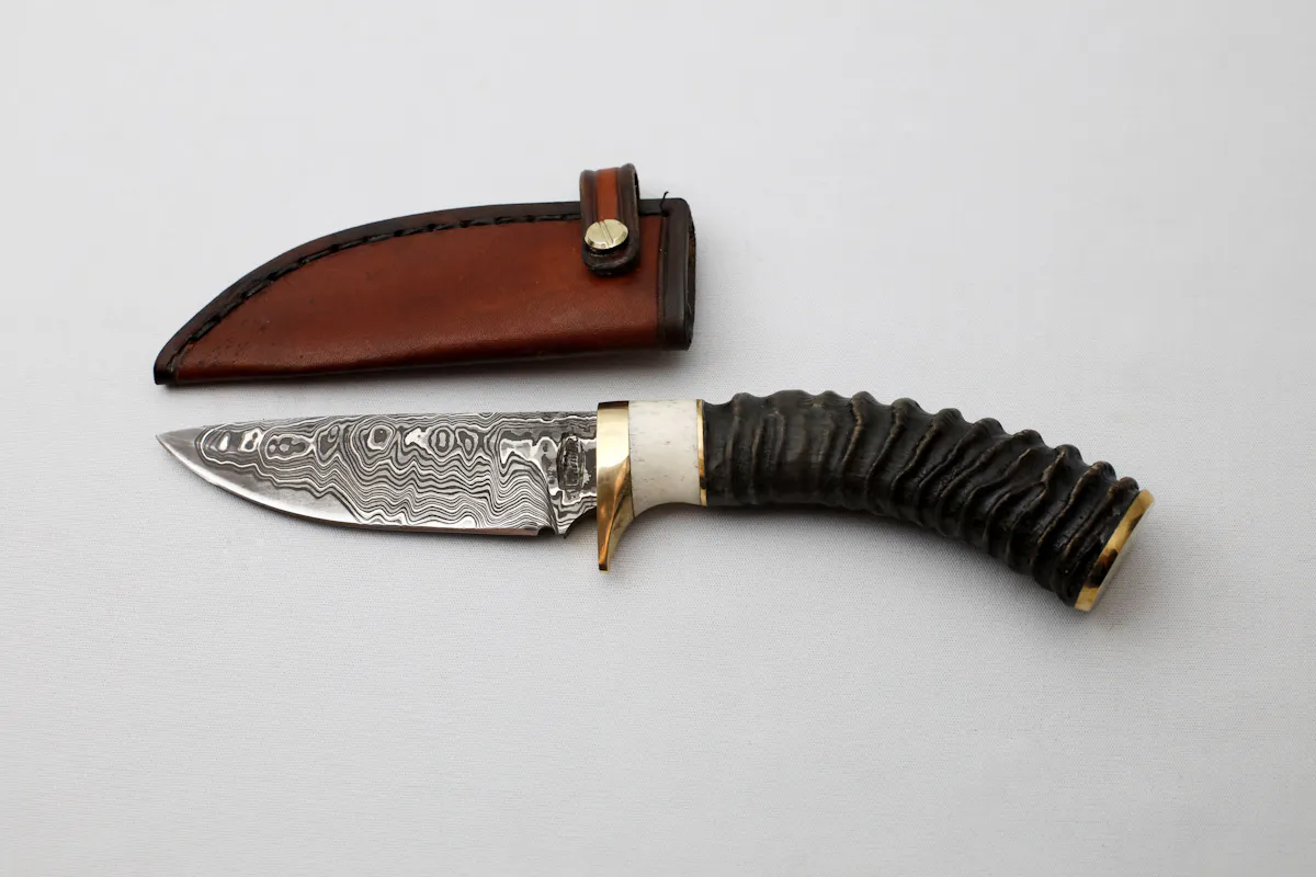 Alois Hammer - Ziegenantilope-Hirschhorn Jäger