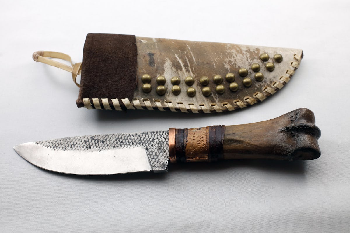 Alois Hammer - Urpferd