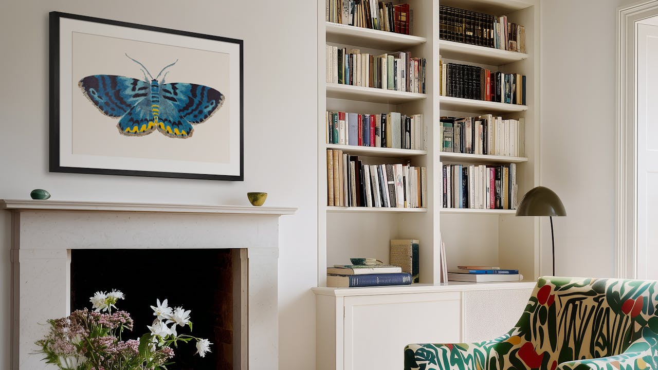 NEW: David van Berckel