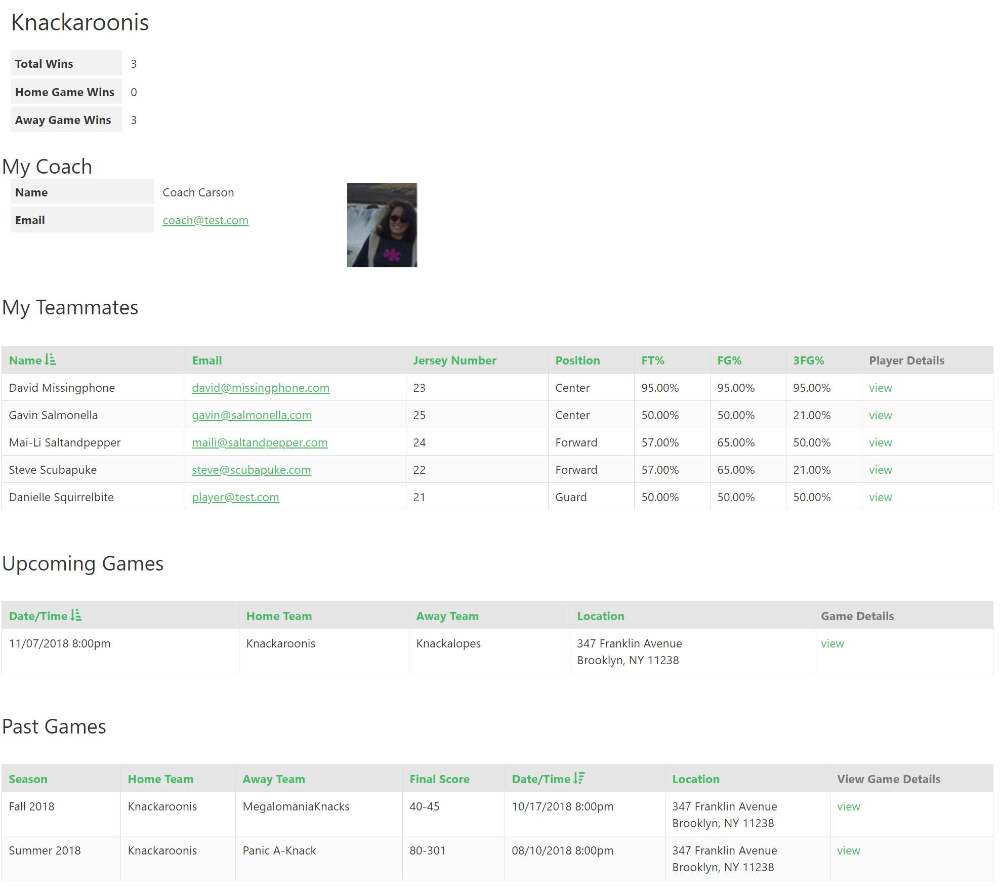 Players can view their team stats, teammates, and games.