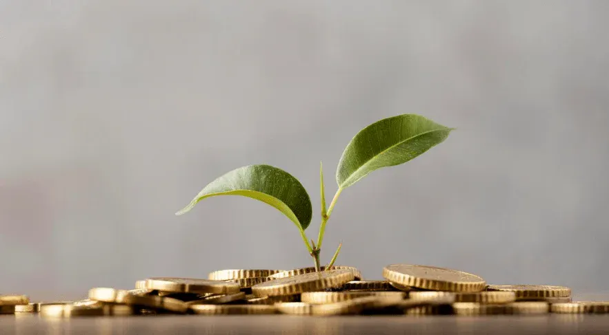 Moedas com uma planta crescendo