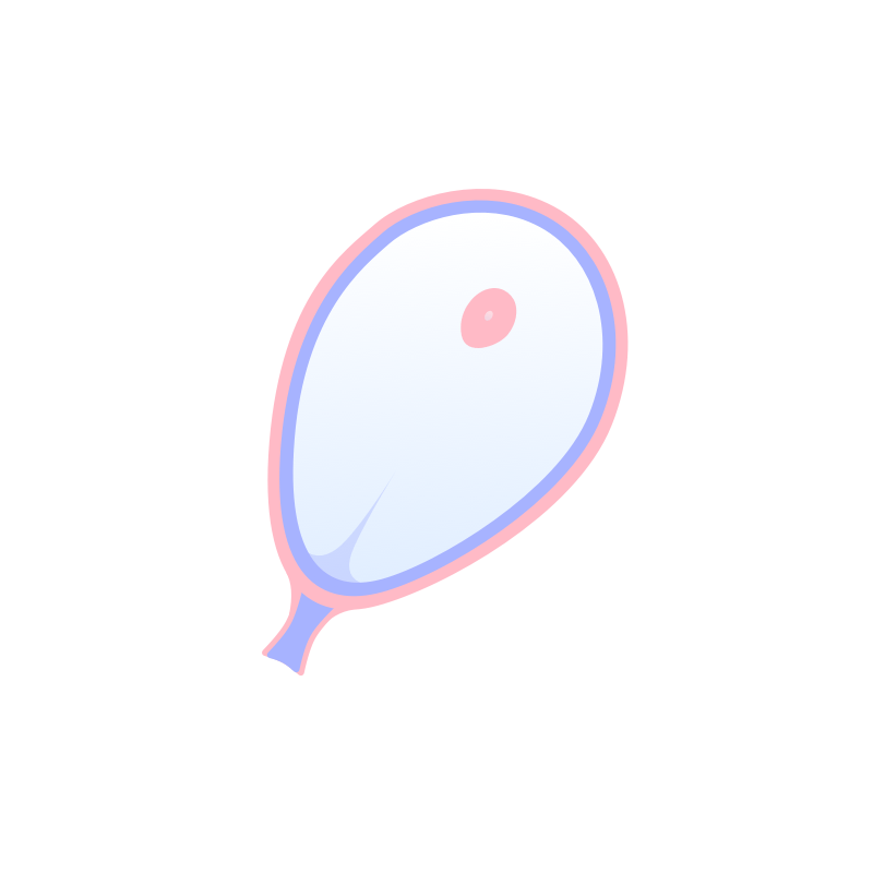 illustration av fostrets utveckling i vecka 4