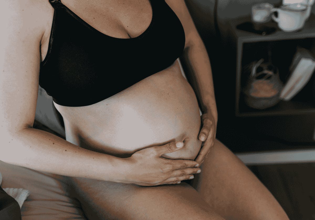 Gravid