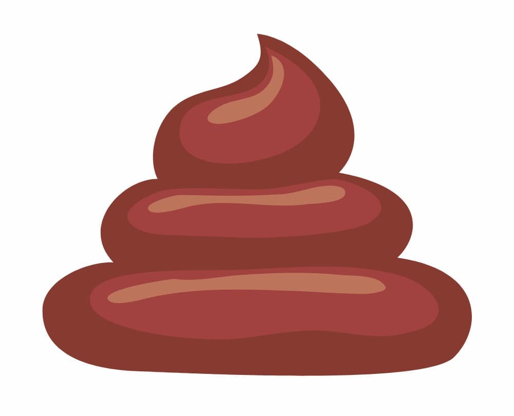 illustration av bajs med blod