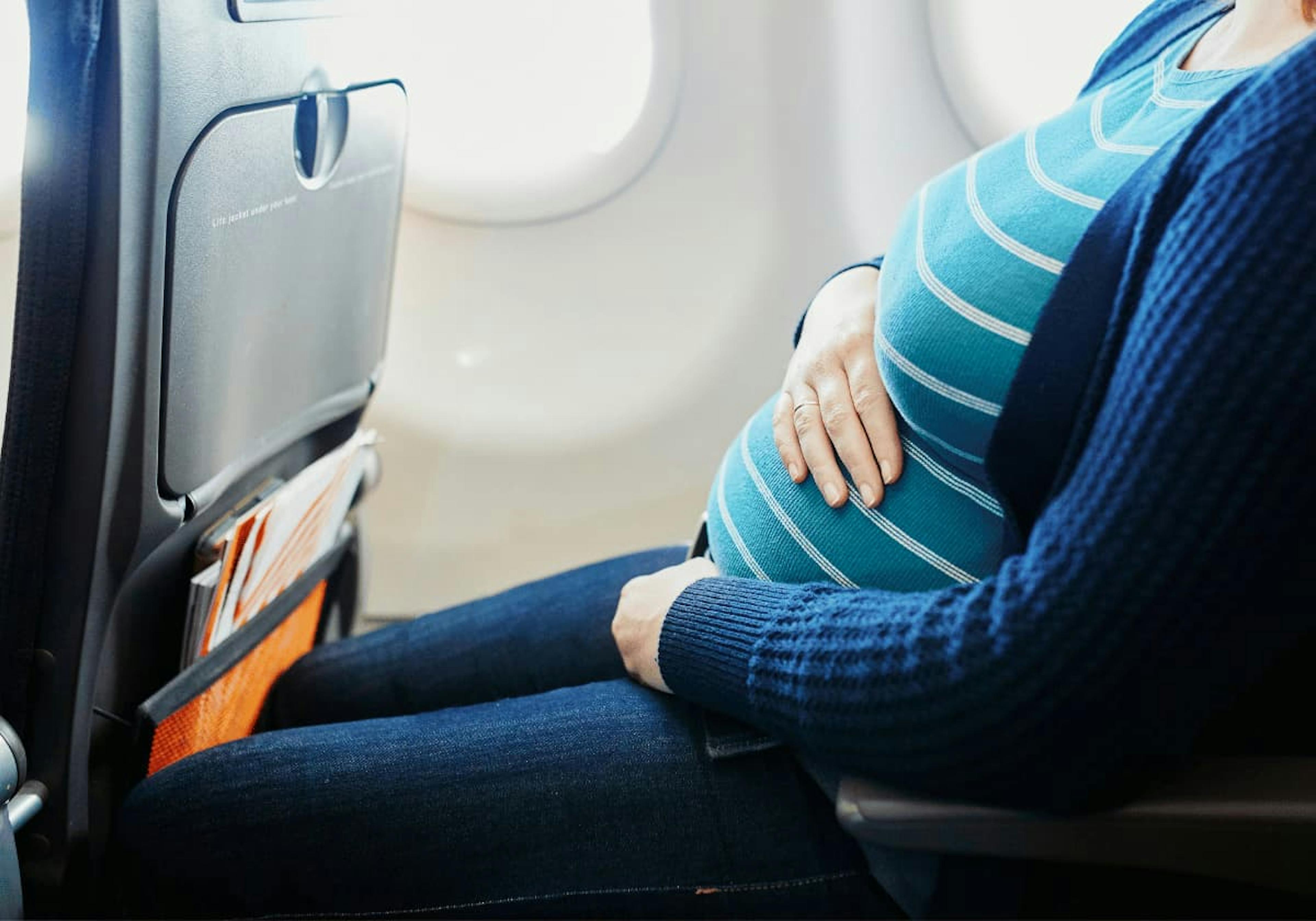 Flyga gravid