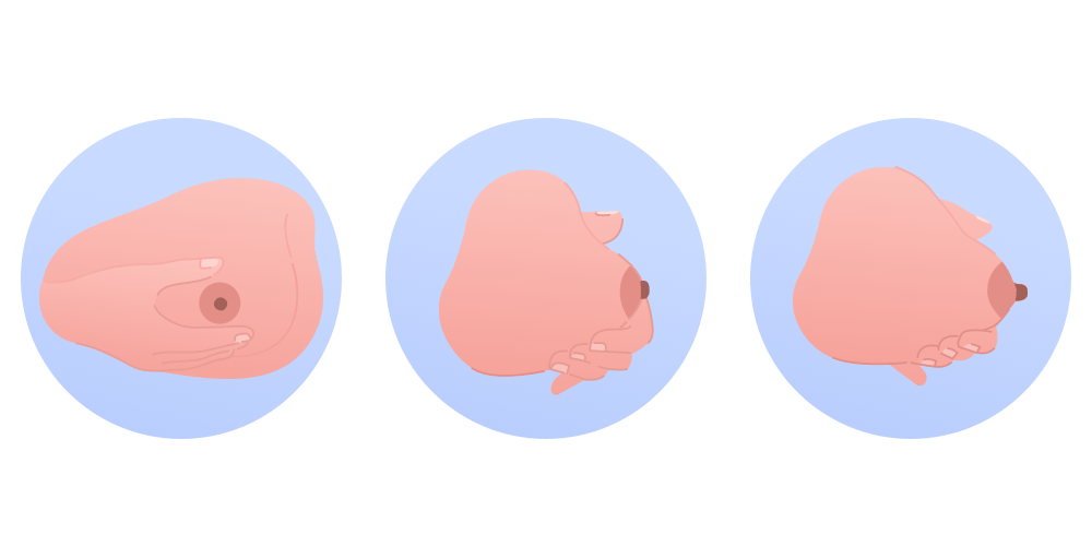 illustration på handmjölkning
