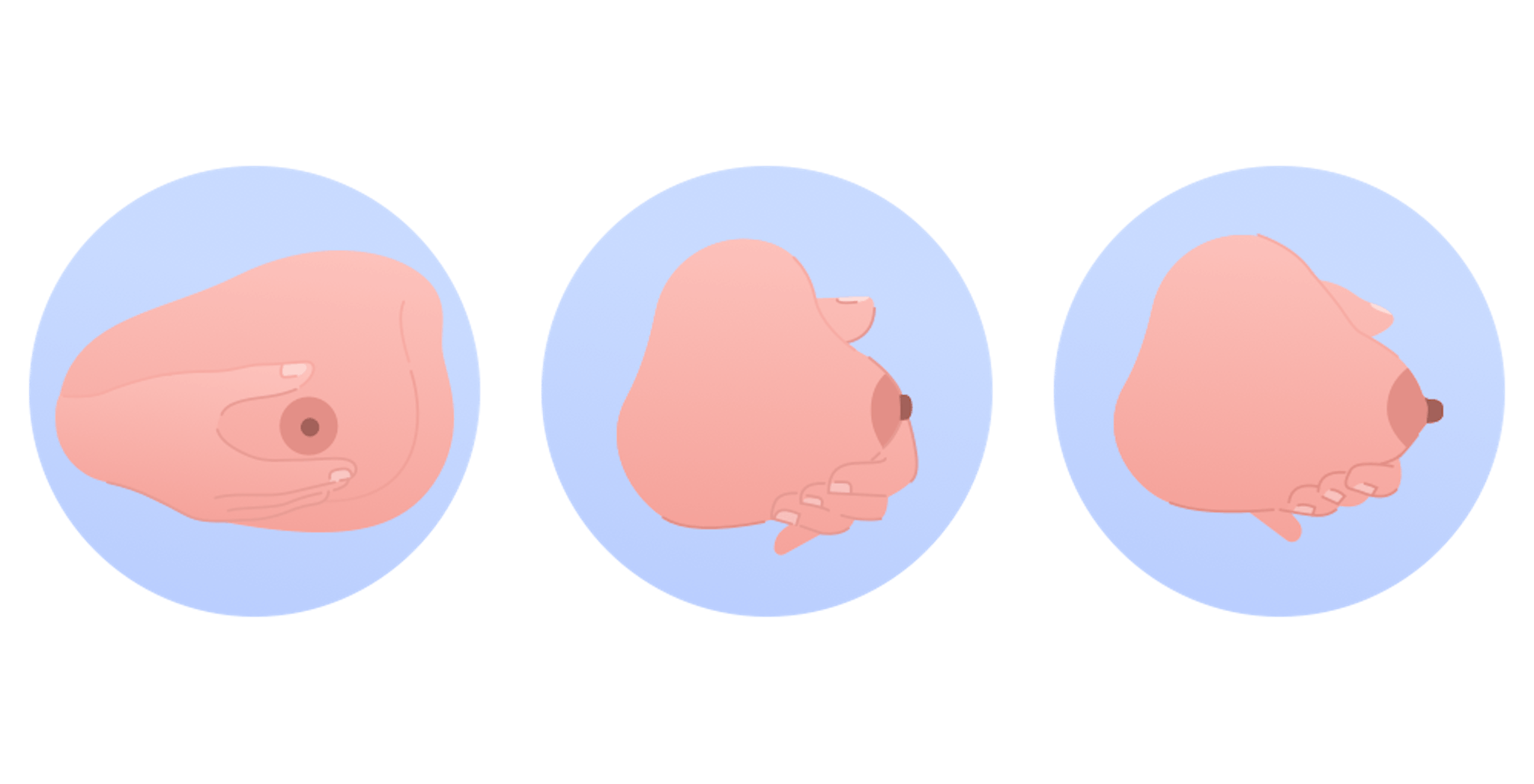 illustration på handmjölkning