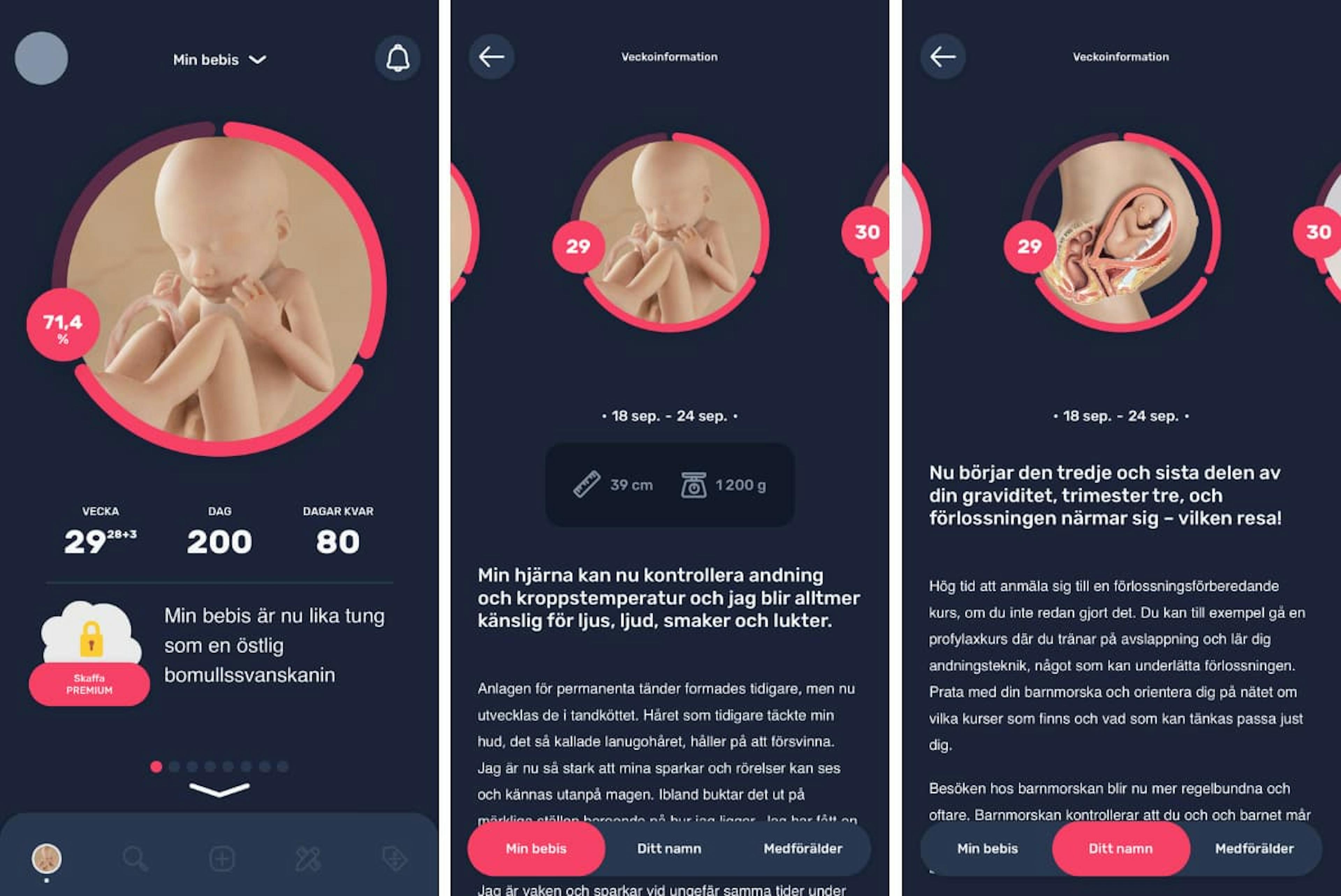 skärmbilder från appen preggers