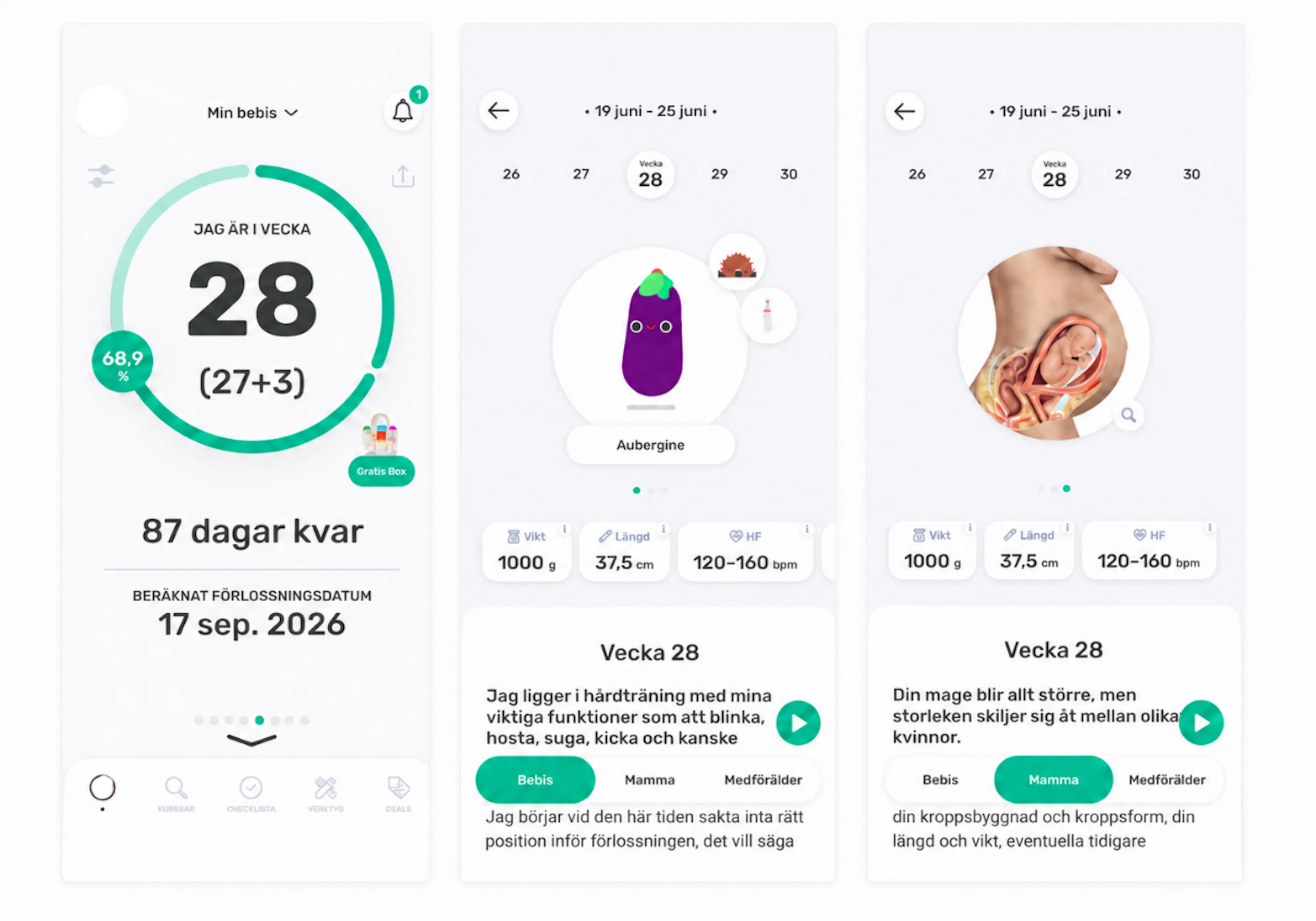 skärmdumpar från appen preggers