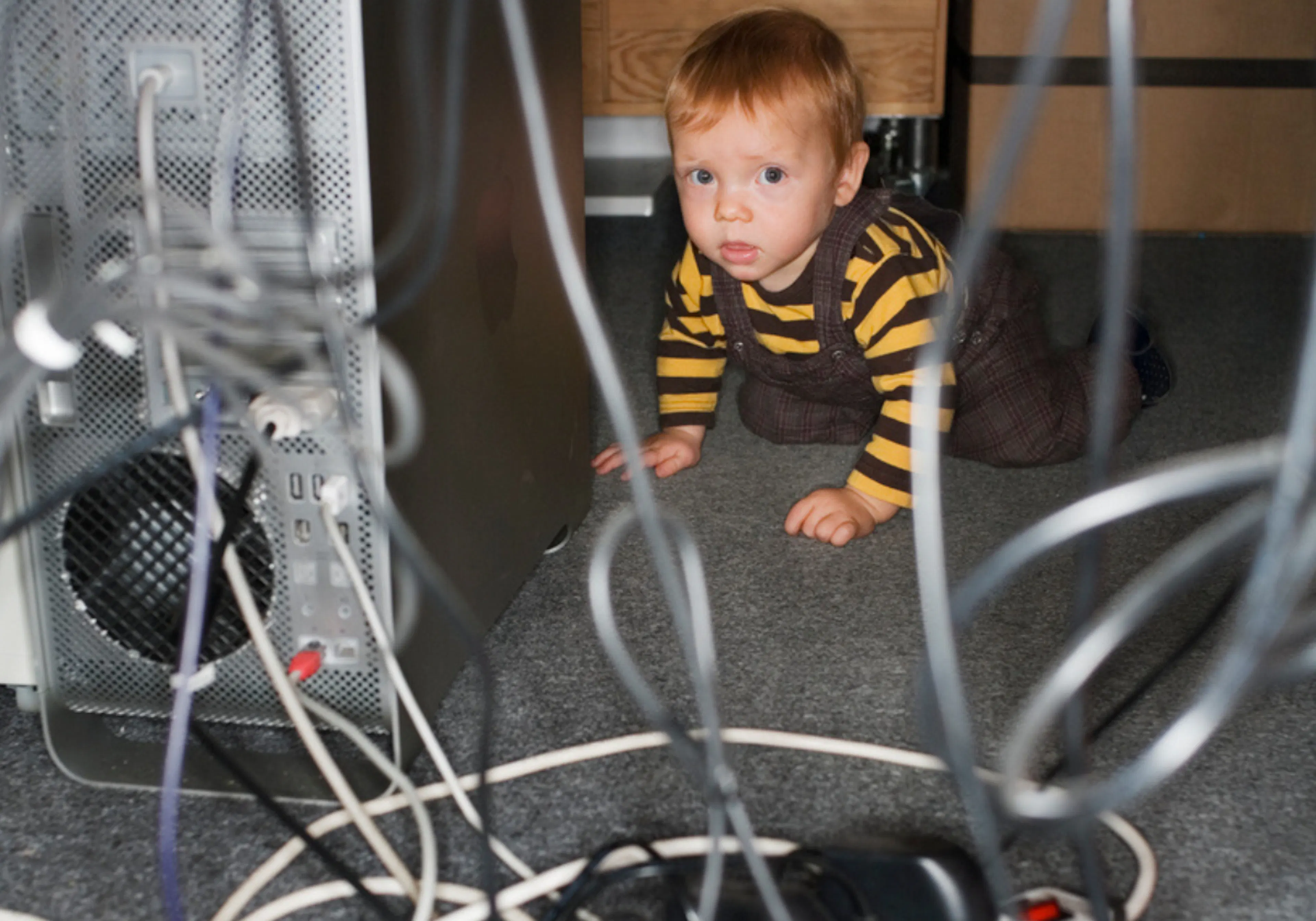 Litet barn kryper nära grenkontakt.