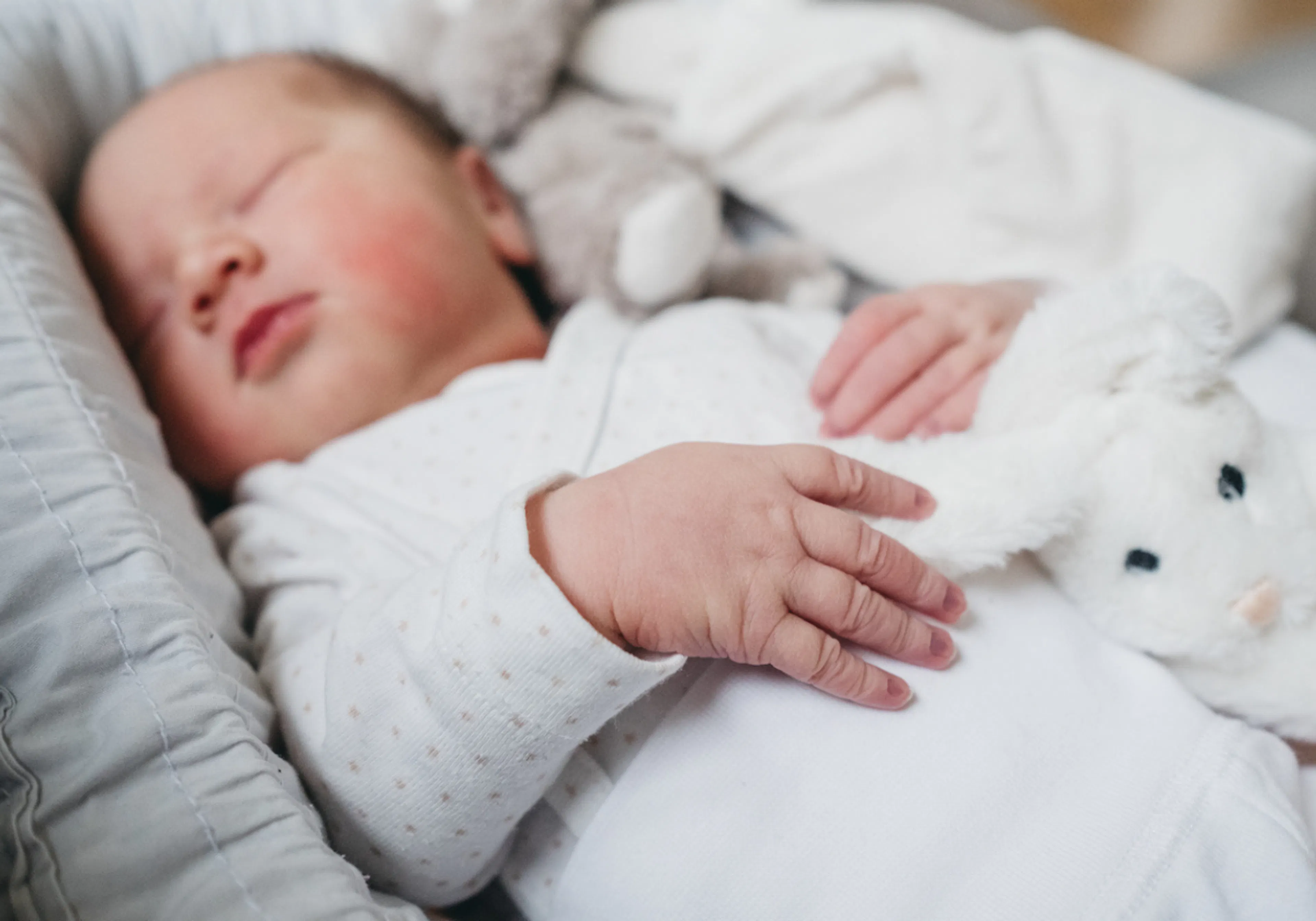 bebis sover lugnt i babynest