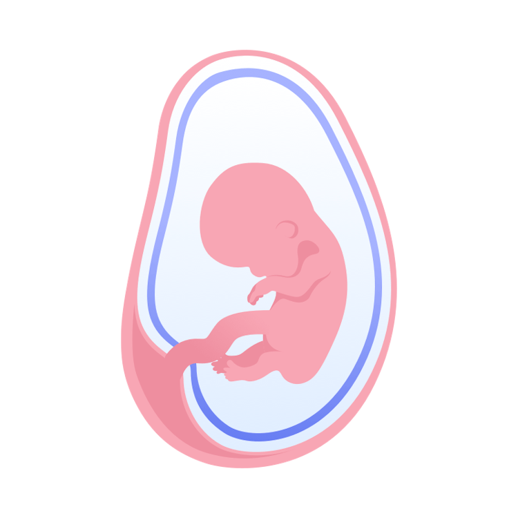 illustration av foster i vecka 9