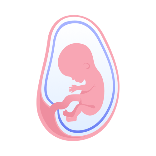 illustration av foster i vecka 11