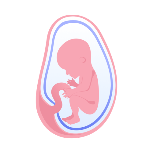 illustration av foster i vecka 19