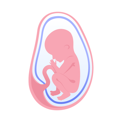 illustration av foster i vecka 25