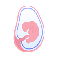 illustration på foster i vecka 7