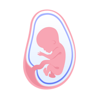 illustration av foster i vecka 13