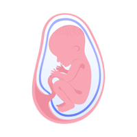 illustration av foster i vecka 32