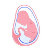 illustration av foster i vecka 33