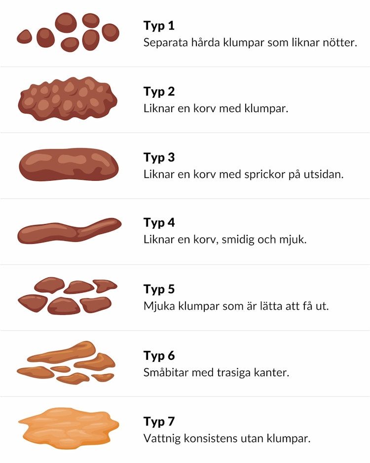 Bajsguiden Allt Du Beh ver Veta Om Ditt Barns Bajs Knodd bajsguiden-allt-du-beh-ver-veta-om-ditt-barns-bajs-knodd