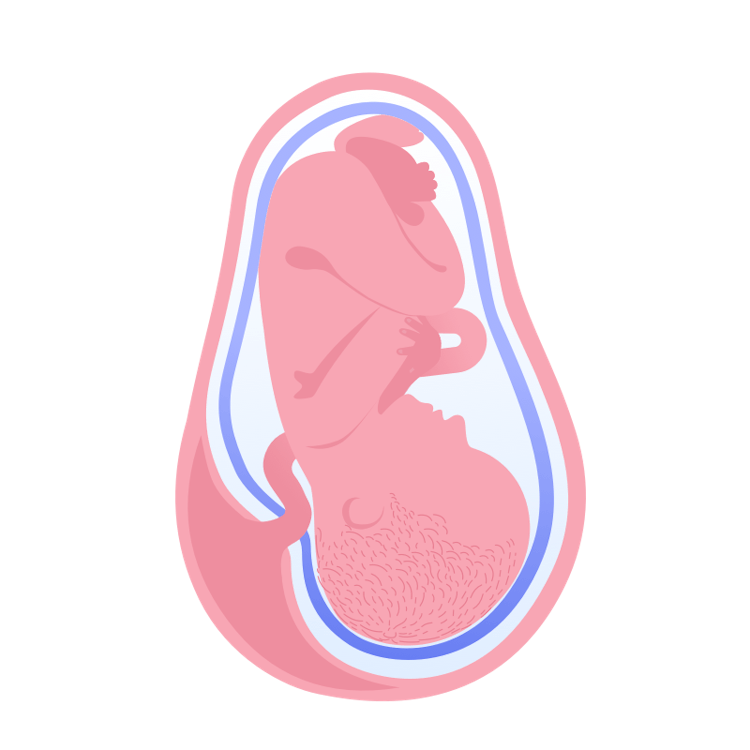 illustration av foster i vecka 40