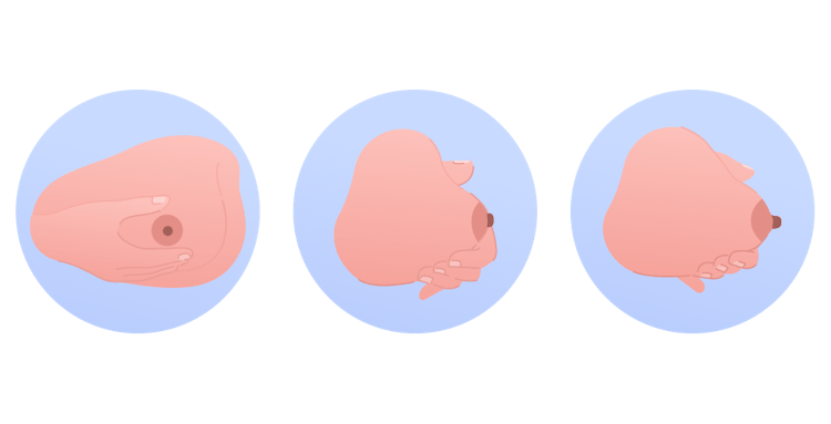 illustration på handmjölkning
