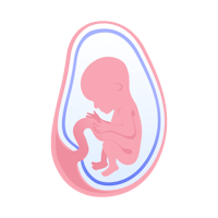 illustration av foster i vecka 17