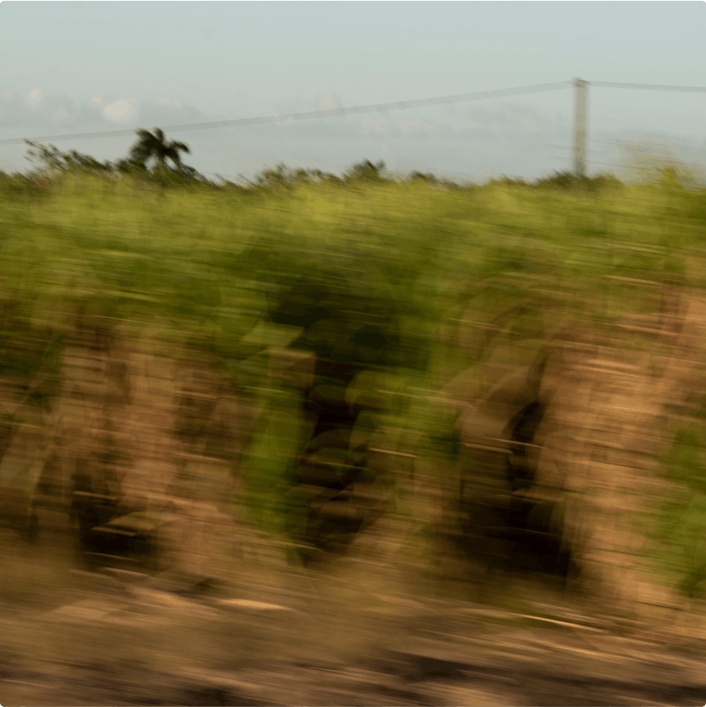 Eminente Ambar Claro beautyshot 4