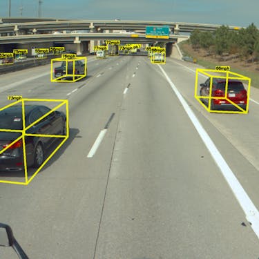 Perception system recognizing vehicles