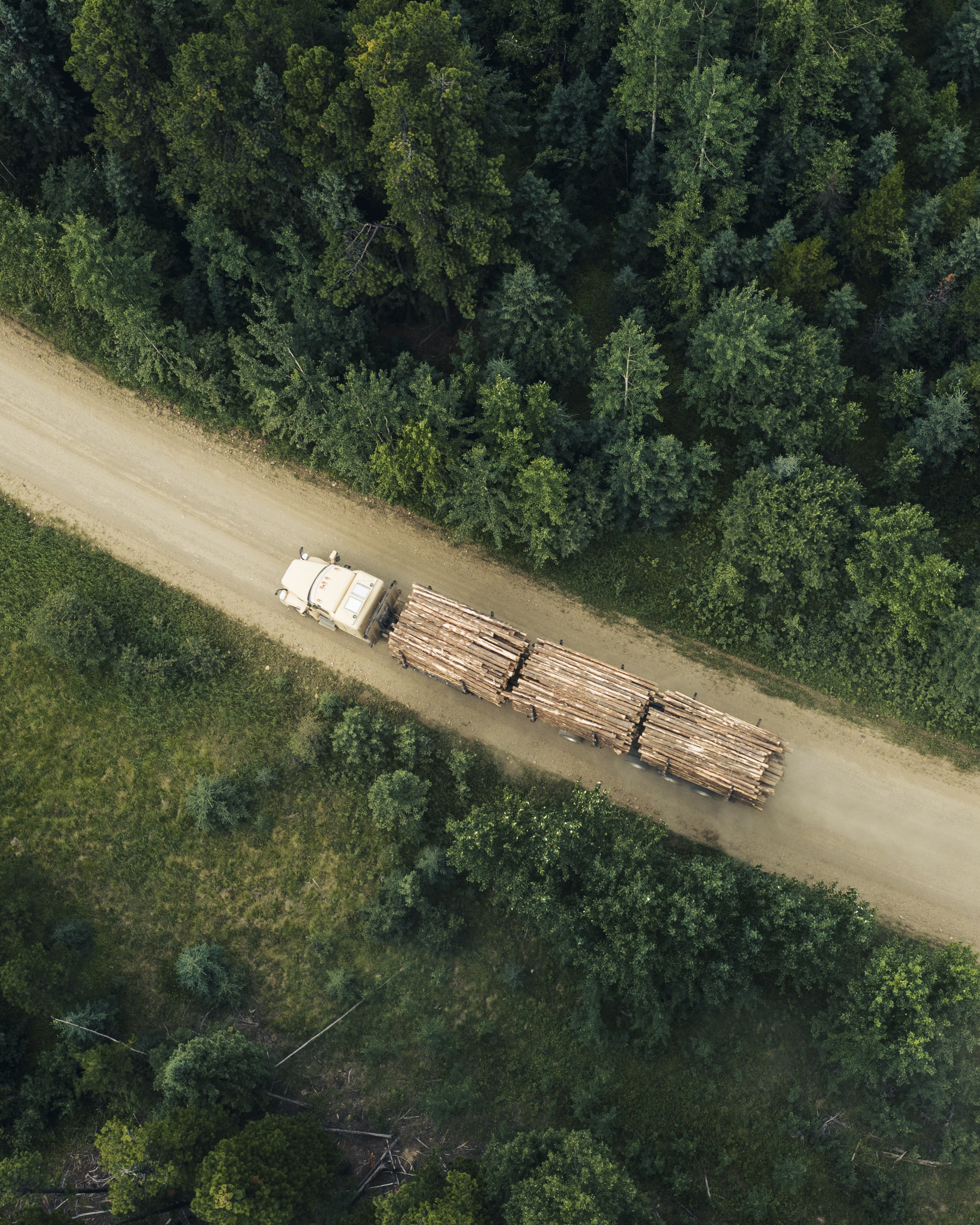A truck carrying logs driving down a gravel road
