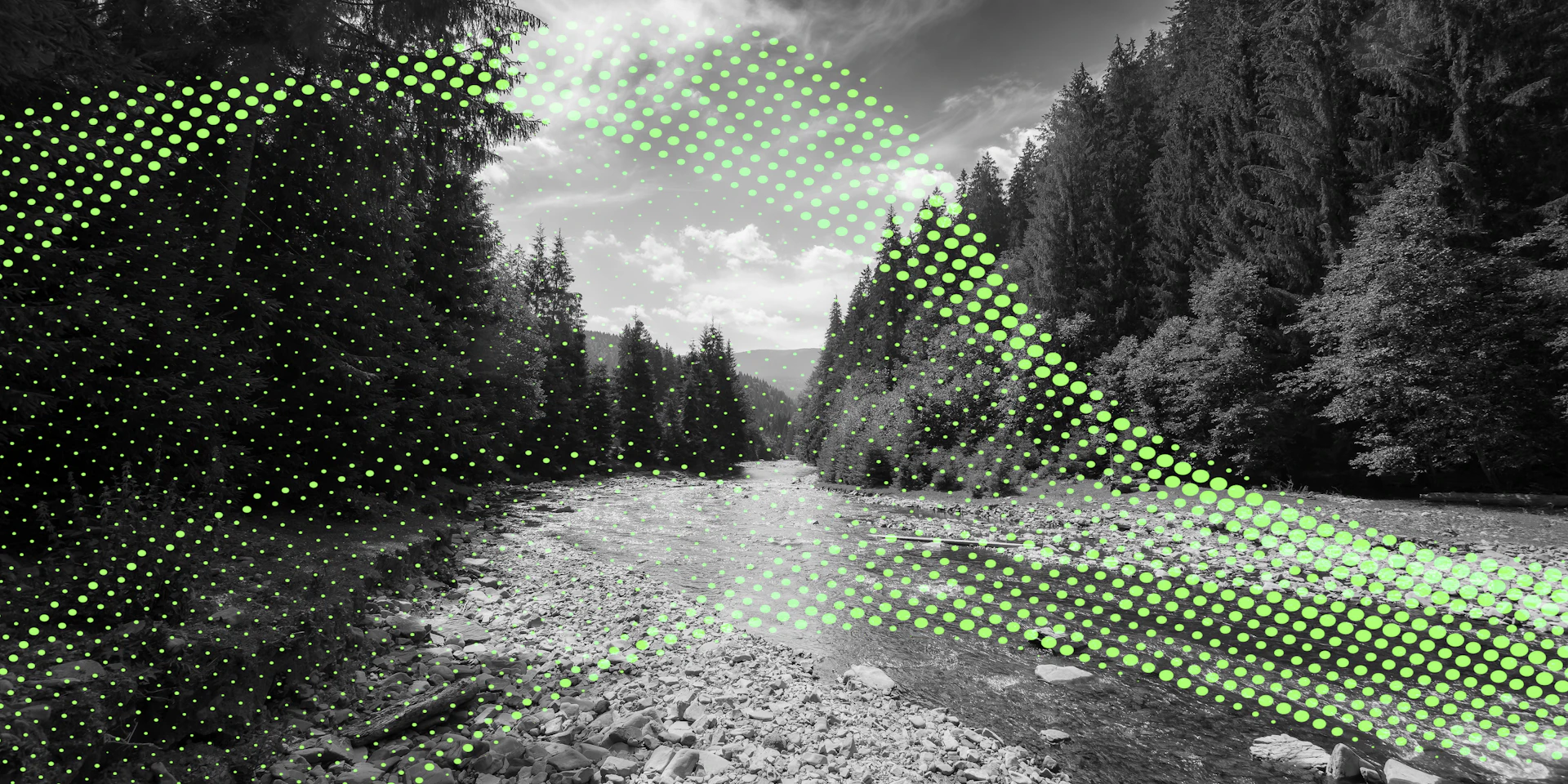 Insights Tech Image