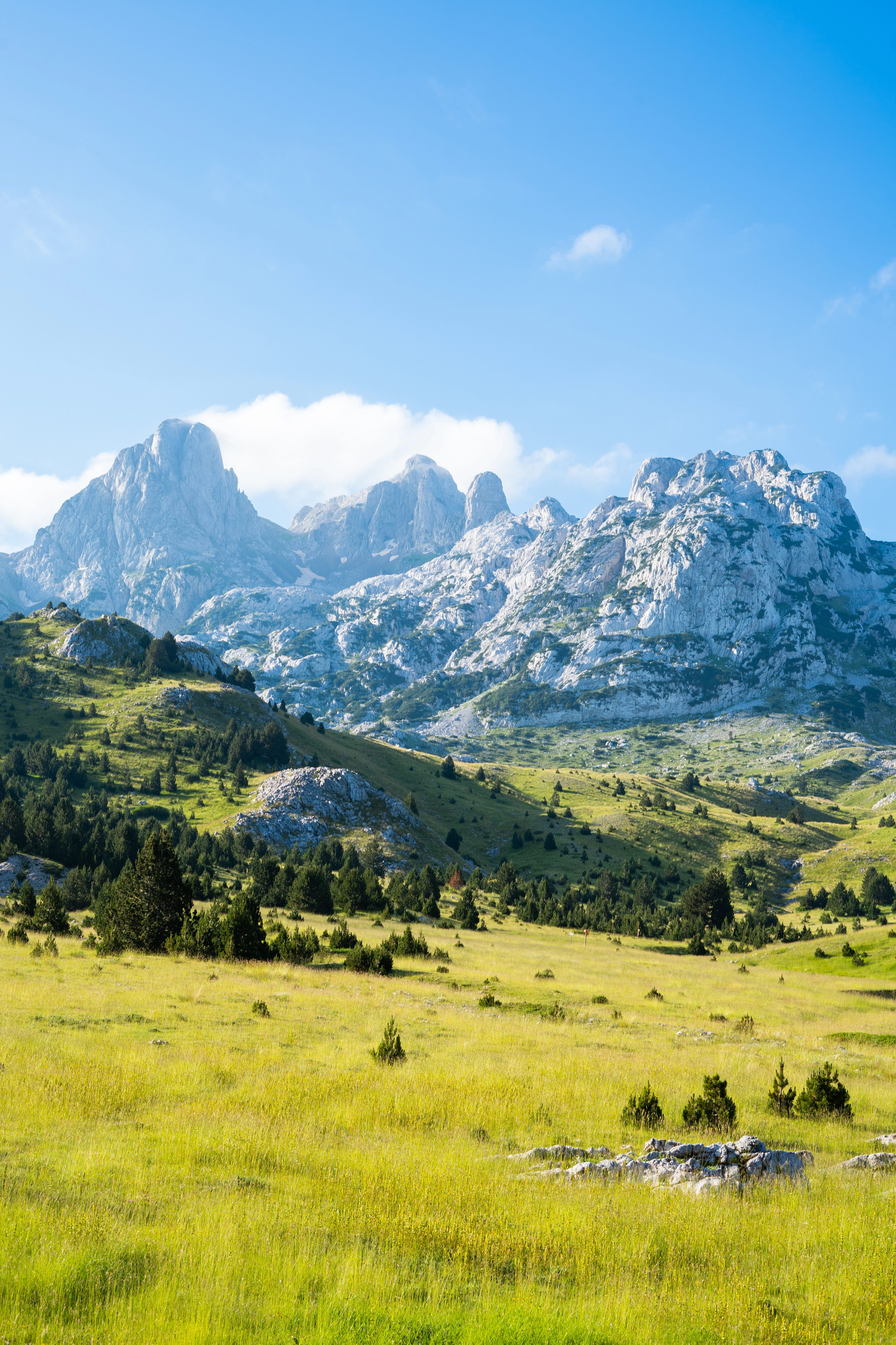 5 top management risks for healthcare in 2024