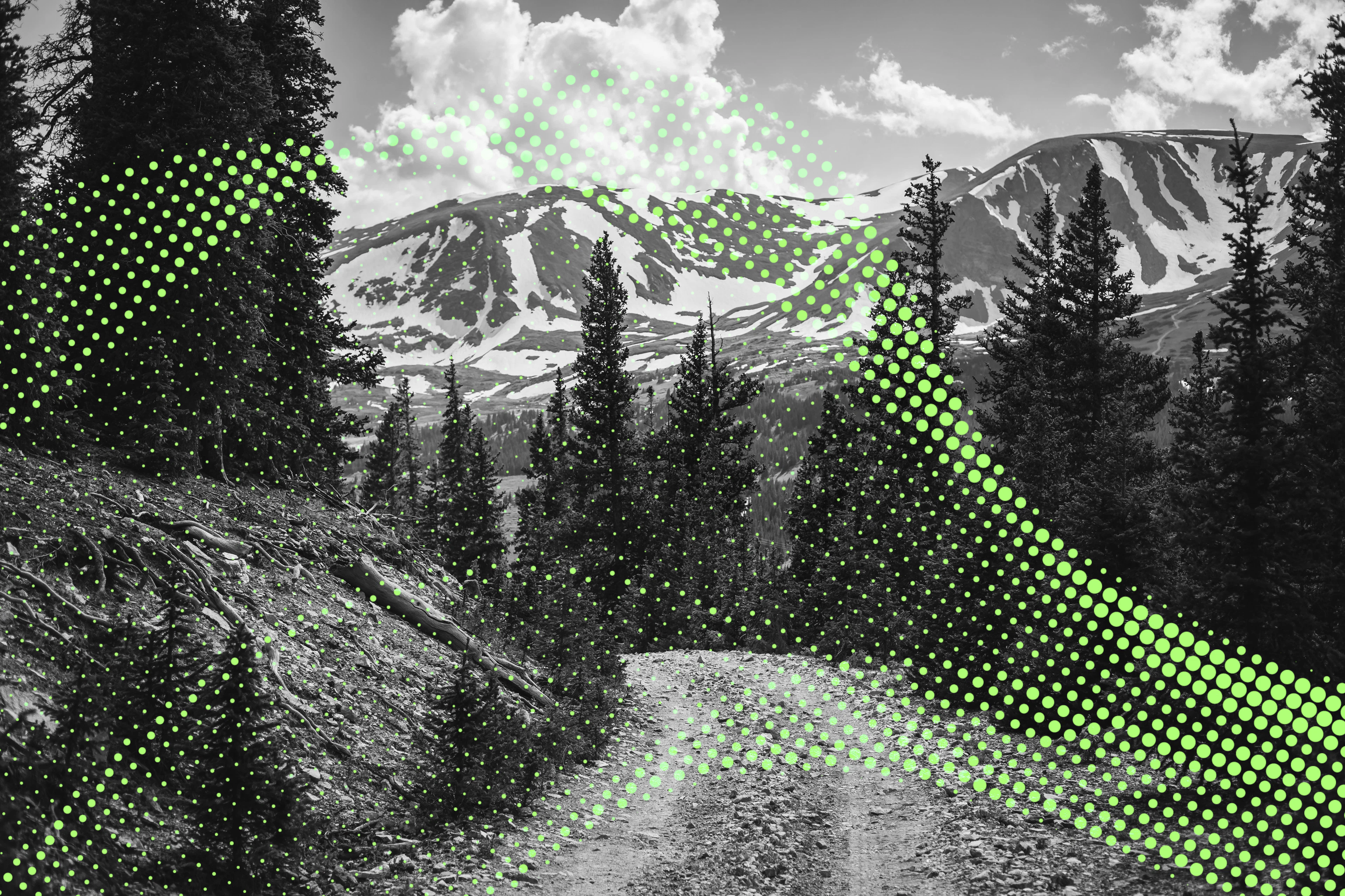 Insights Tech Image