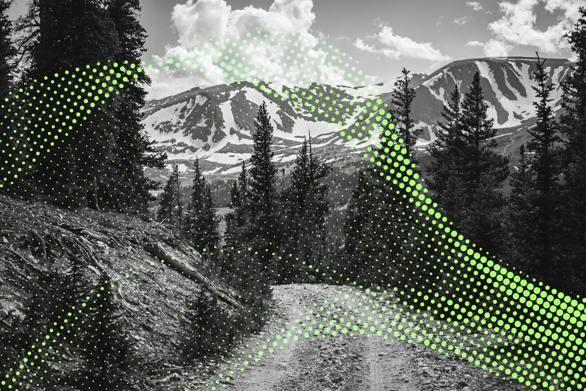 Insights Tech Image