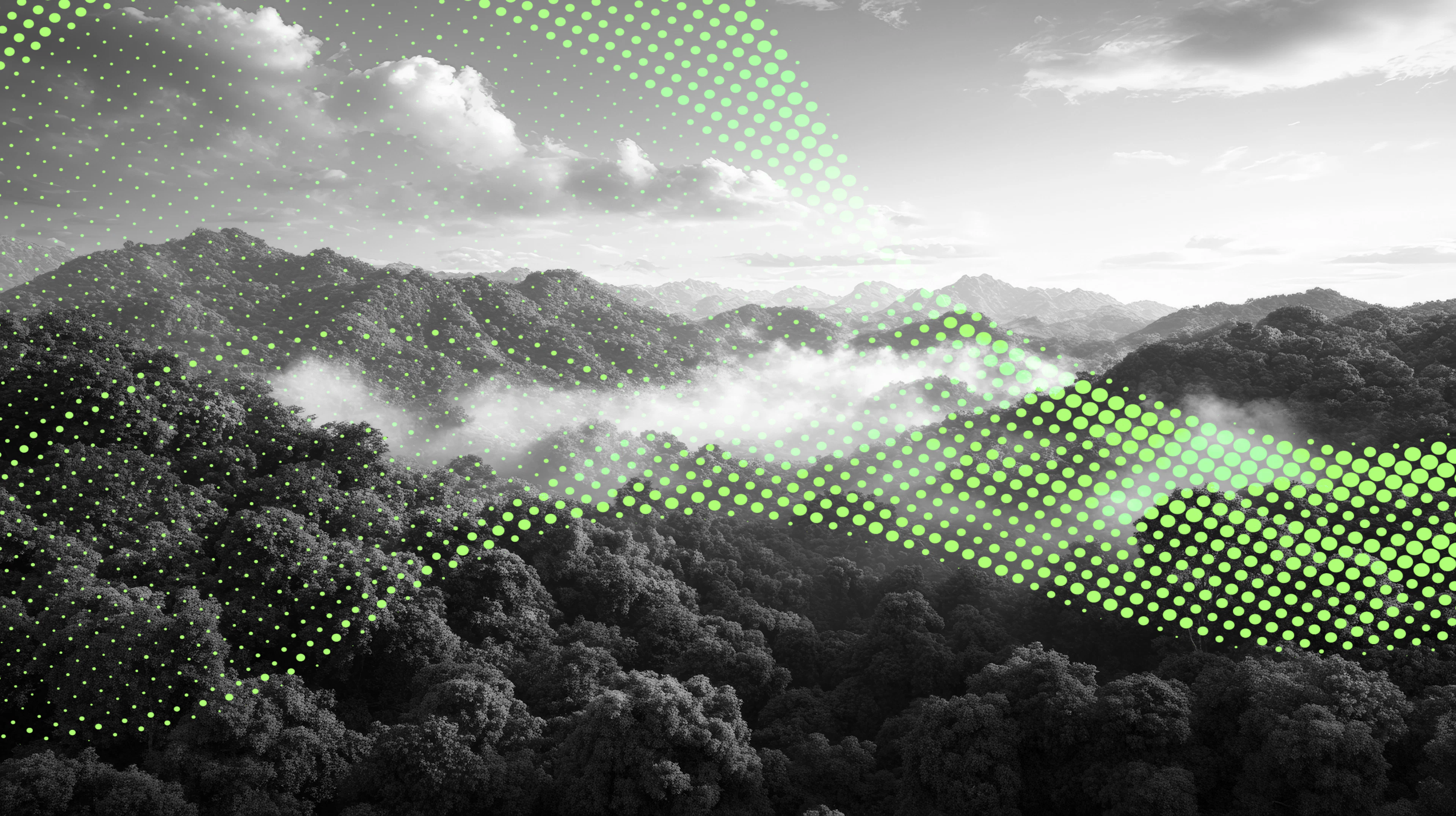 Insights Tech Image
